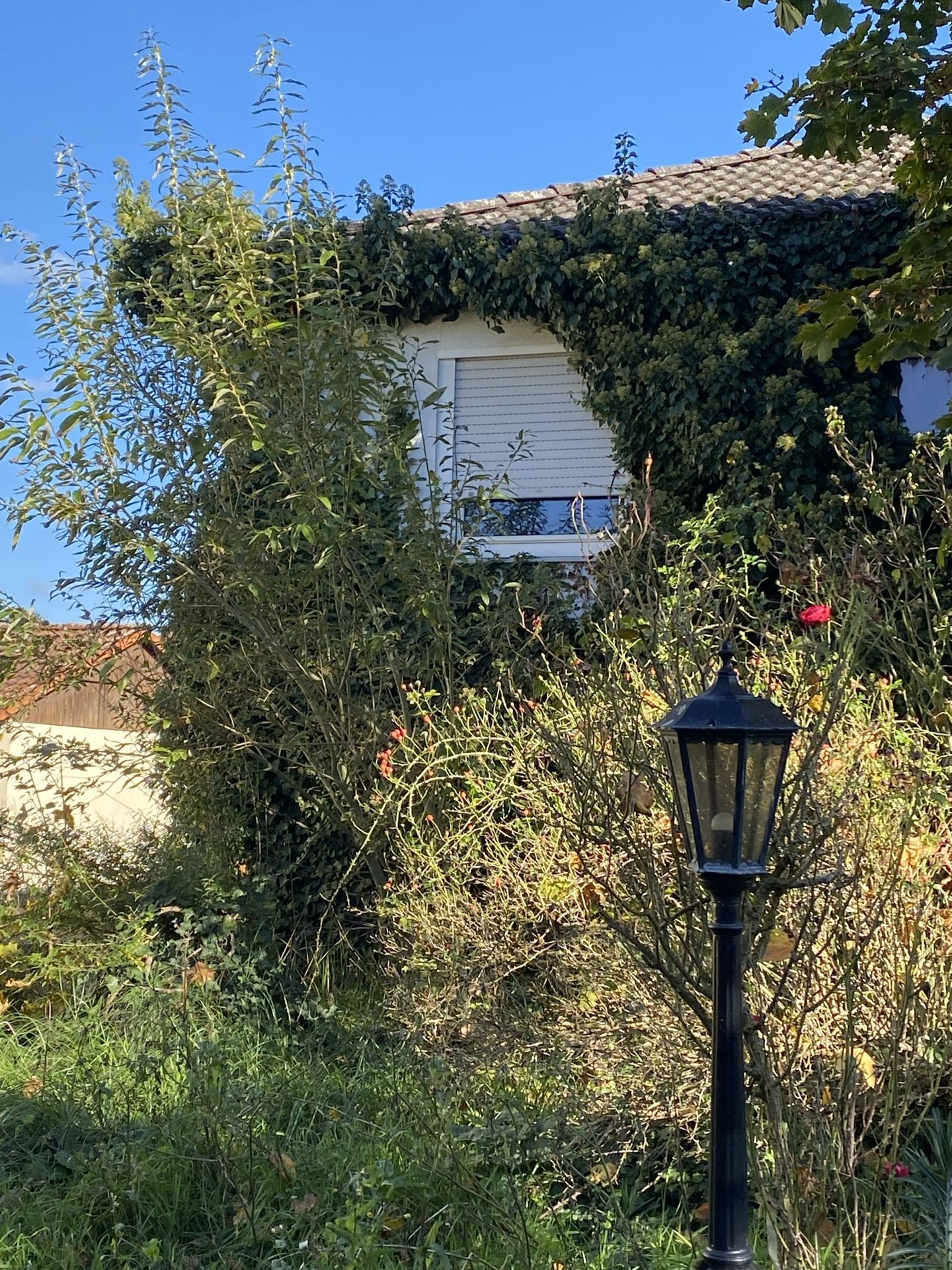 Haus Laterne Titel!!