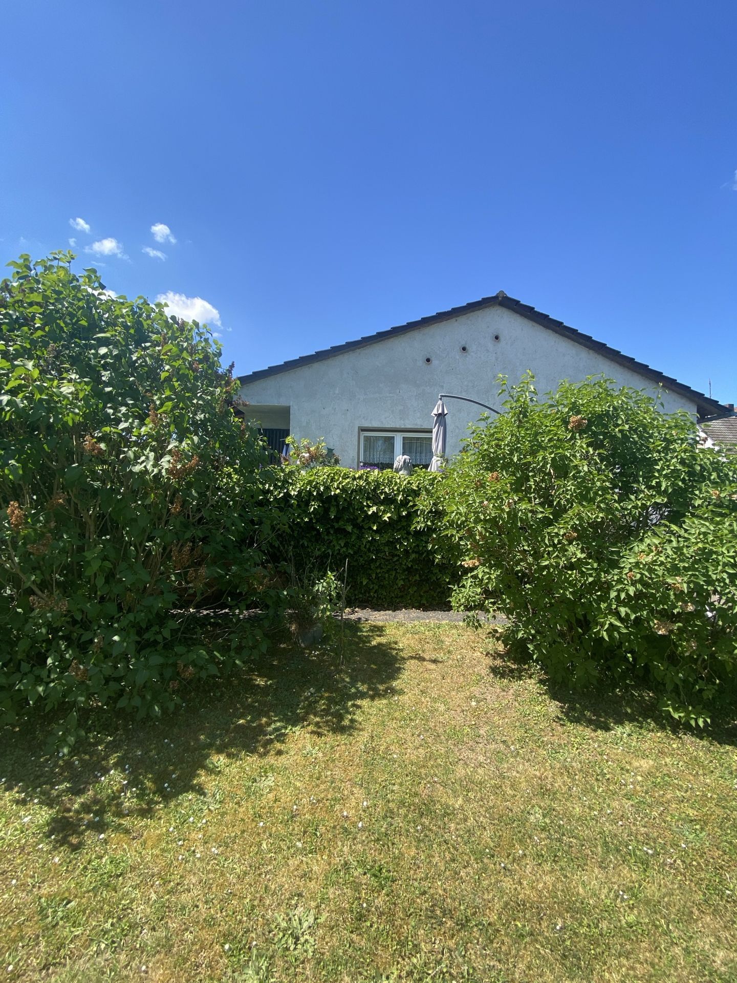 Garten Blick zu Haus