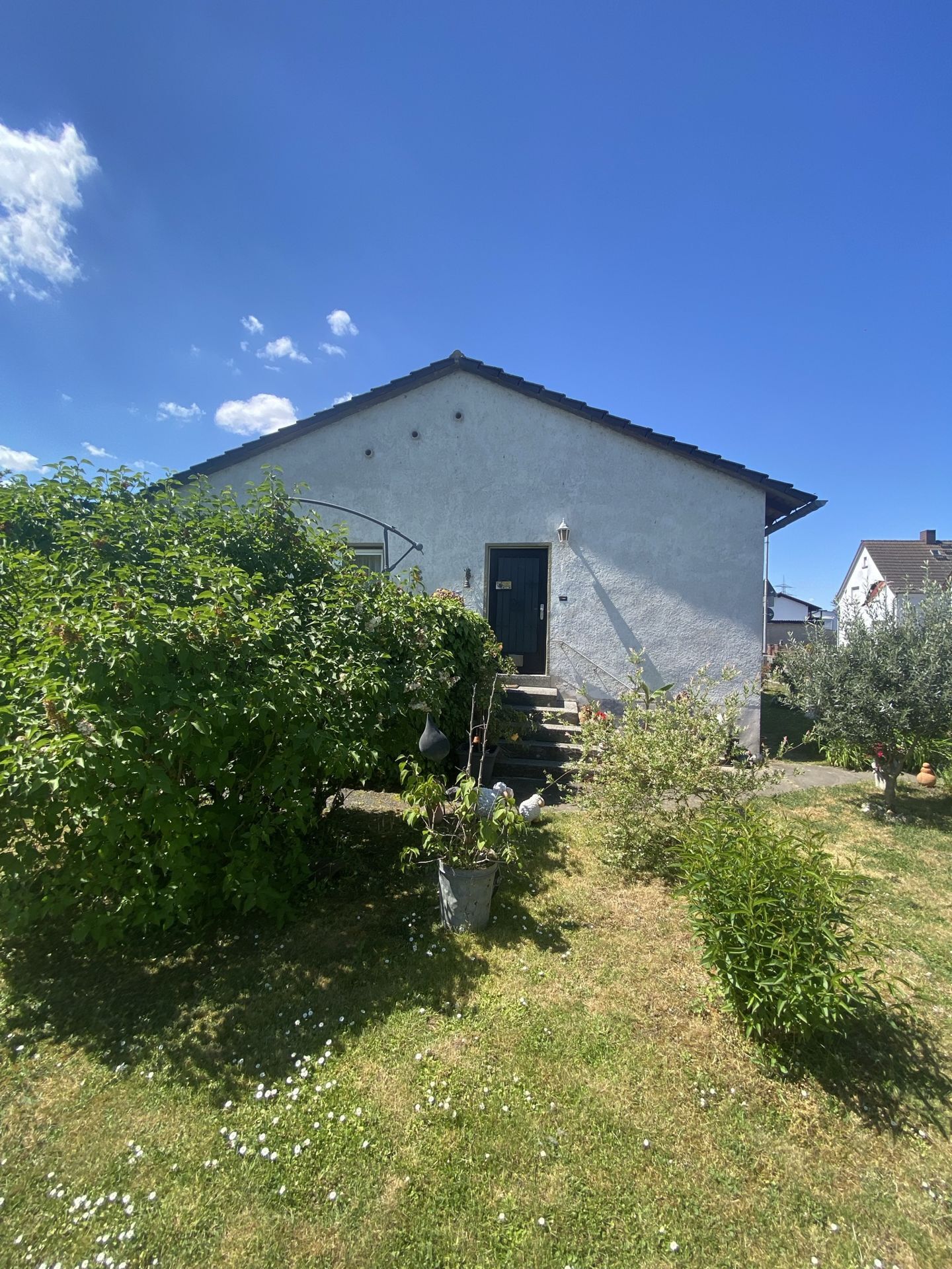 Garten Blick zu Haus 2