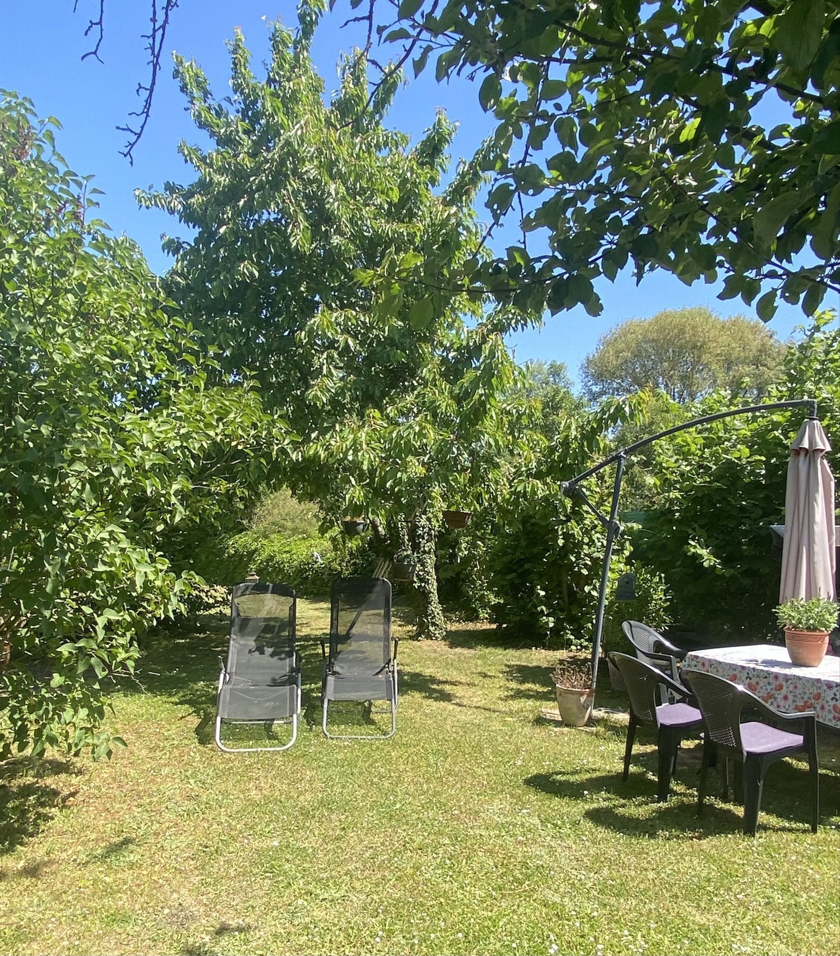 Garten Wiese 2