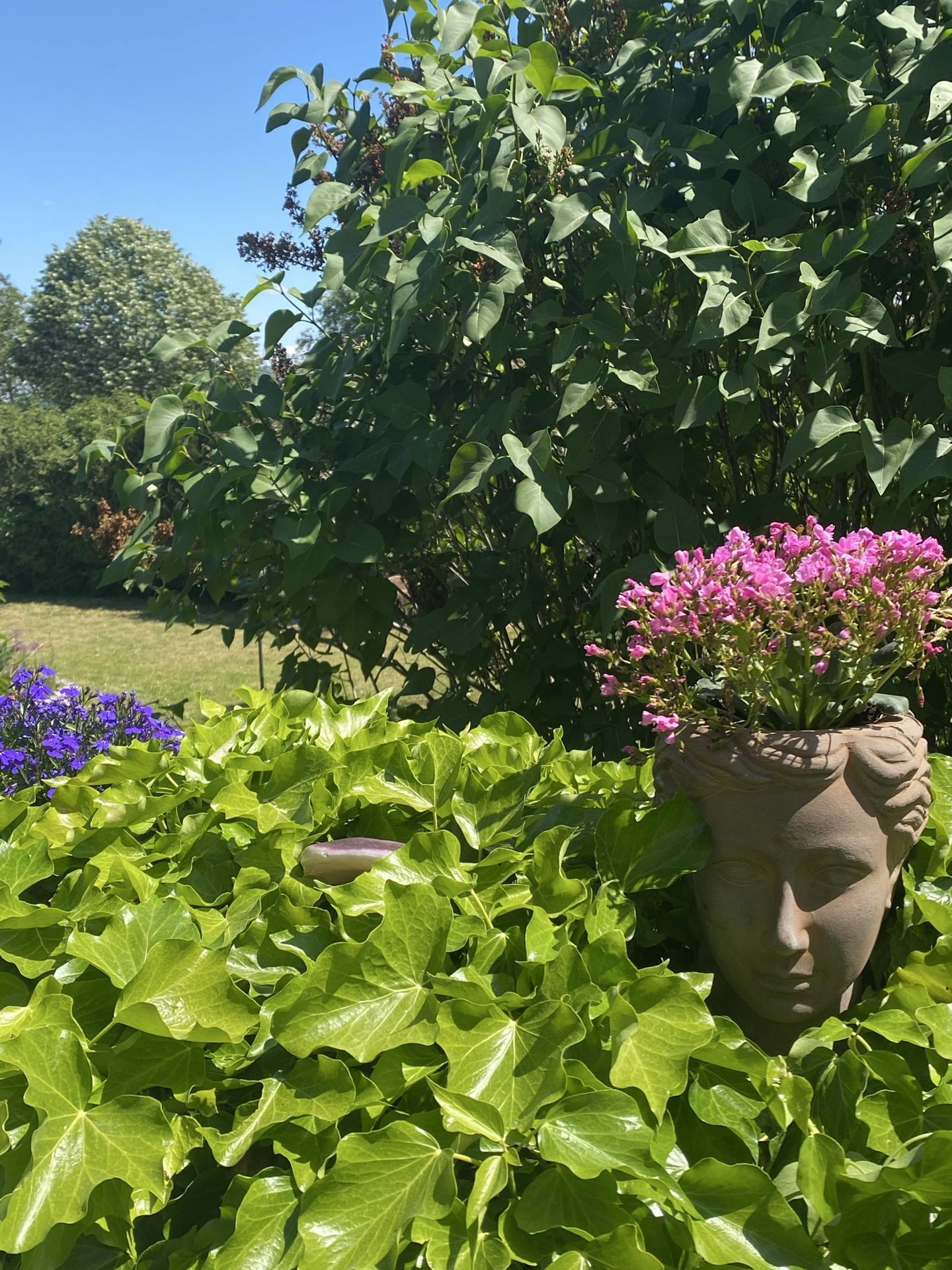 Impressionen5