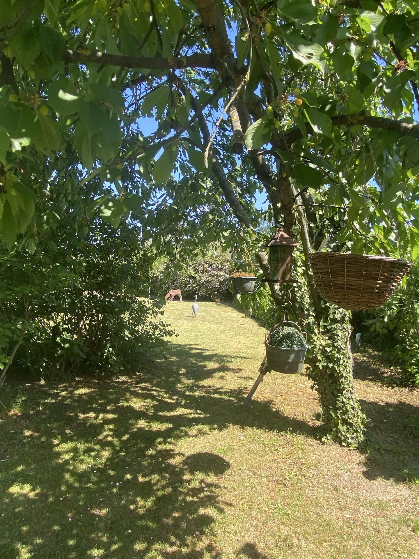 Garten Wiese 3