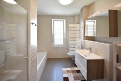 Badezimmer 1