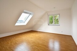 Zimmer DG