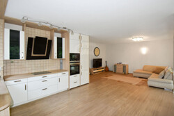Küche /Wohnzimmer