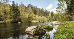 bayerischer-wald-top