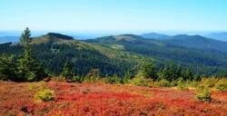 urlaub_bayrischer_wald_herbstlandschaft