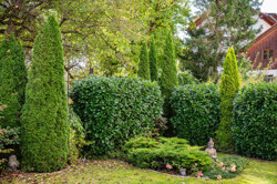 Garten 8