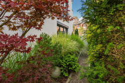 Garten 4