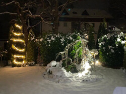 Garten im Schnee