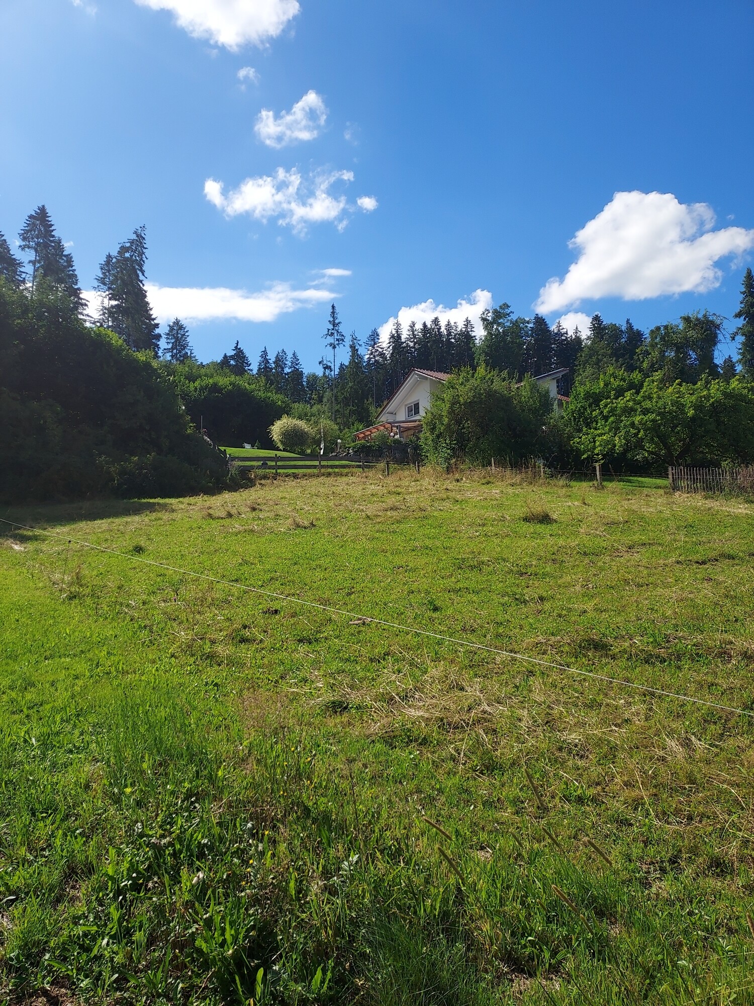 Ansicht