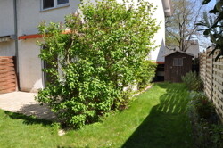 Garten2