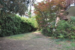 Garten 1