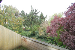 Aussicht vom Balkon im OG