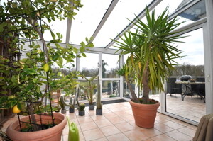 Wintergarten 