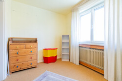 Remax Bauschheim-21