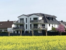 Ansicht zum Feld