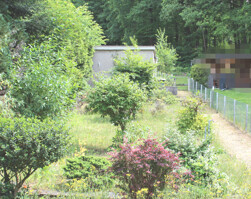 Titelbild Garten