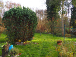 Gartenblick