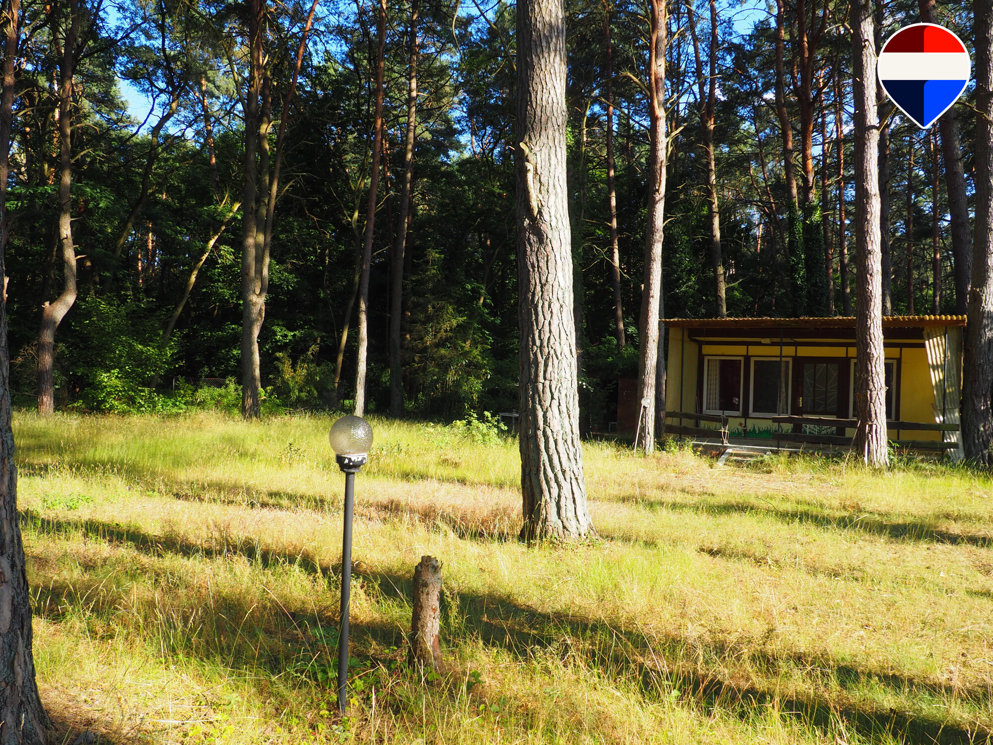 grüner Blick