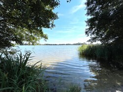 Bornhorster Seen in der Nähe