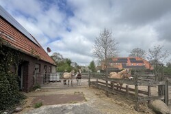 Pferdekoppel