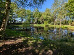 Kleiner Teich