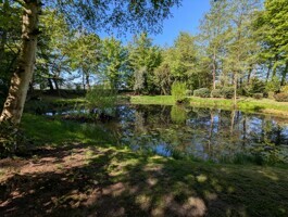 Kleiner Teich
