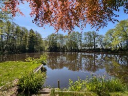 Großer Teich