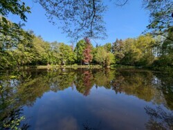Großer Teich