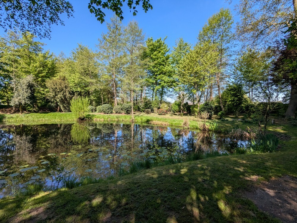 Kleiner Teich
