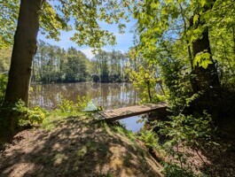 Großer Teich