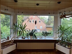 Erker WOhnzimmer EG rechts
