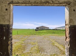 Blick ins Grüne