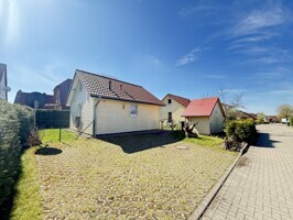 IMG_6197