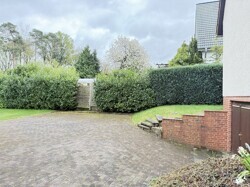 IMG_6341