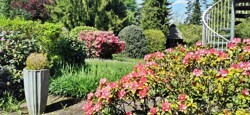 Blick in den Garten