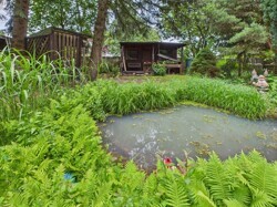 Gartenteich