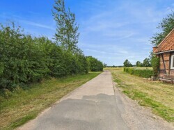 Feldweg ins Grüne