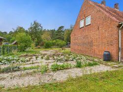 Gemüsegarten
