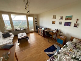 Wohn_Schlafzimmer