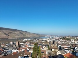 Rheinblick