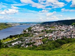 Rheinblick