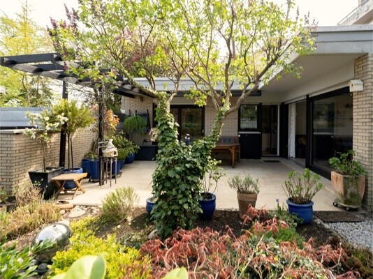 Garten & Terrasse