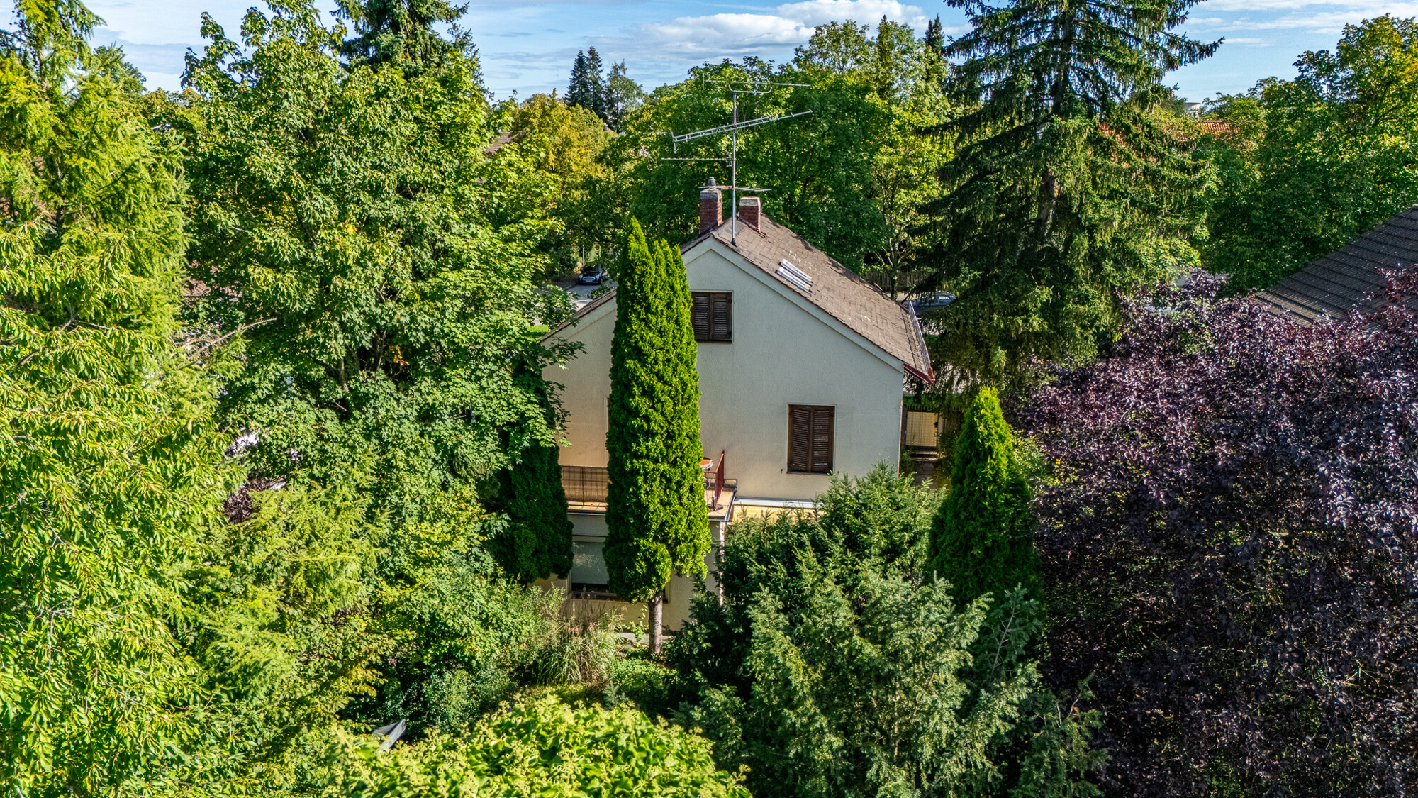 Drohnenaufnahme Altbestand