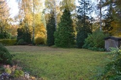 Immobilienbild