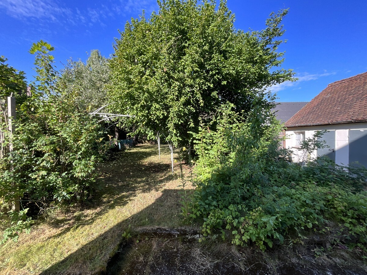 Seitlicher Gartenbereich 