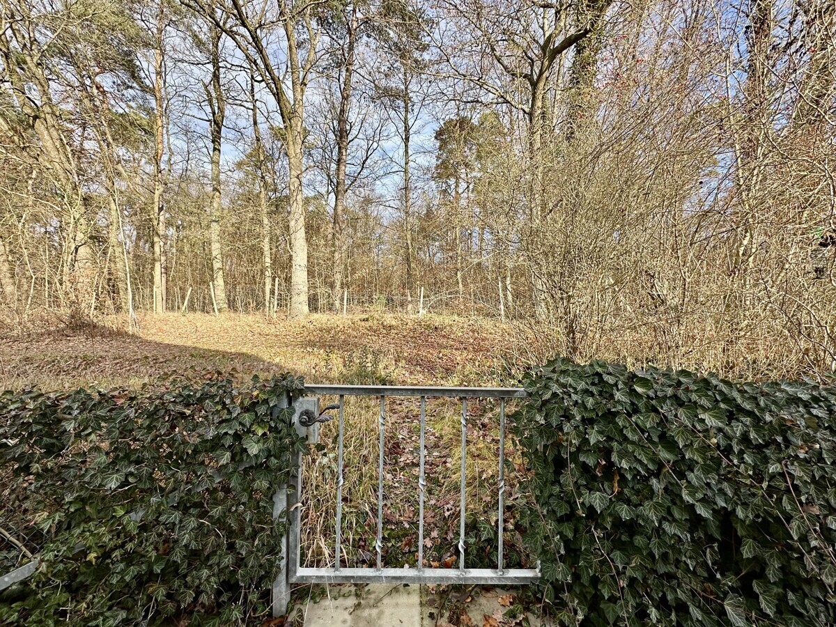 Zugang zum angrenzenden Wald