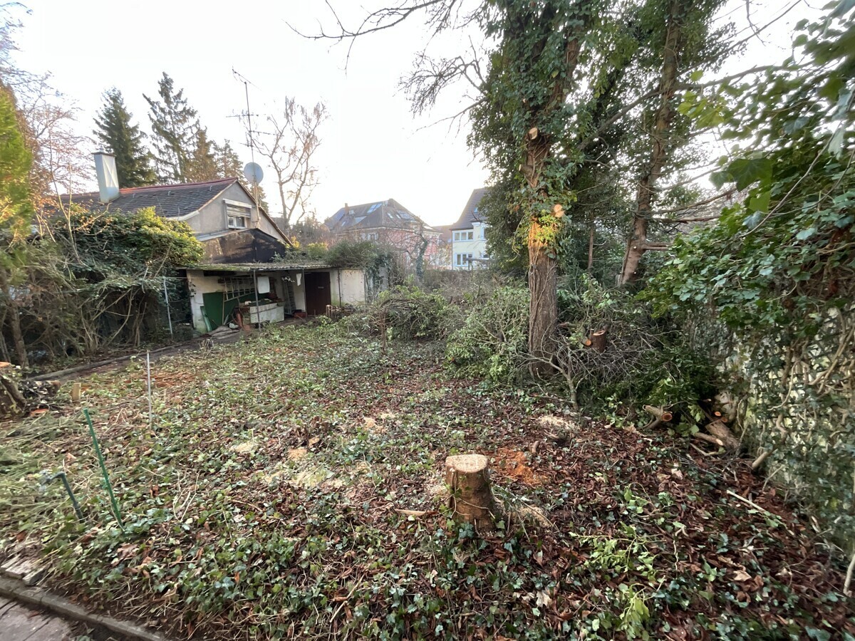 ...in bester Lage von Zabo