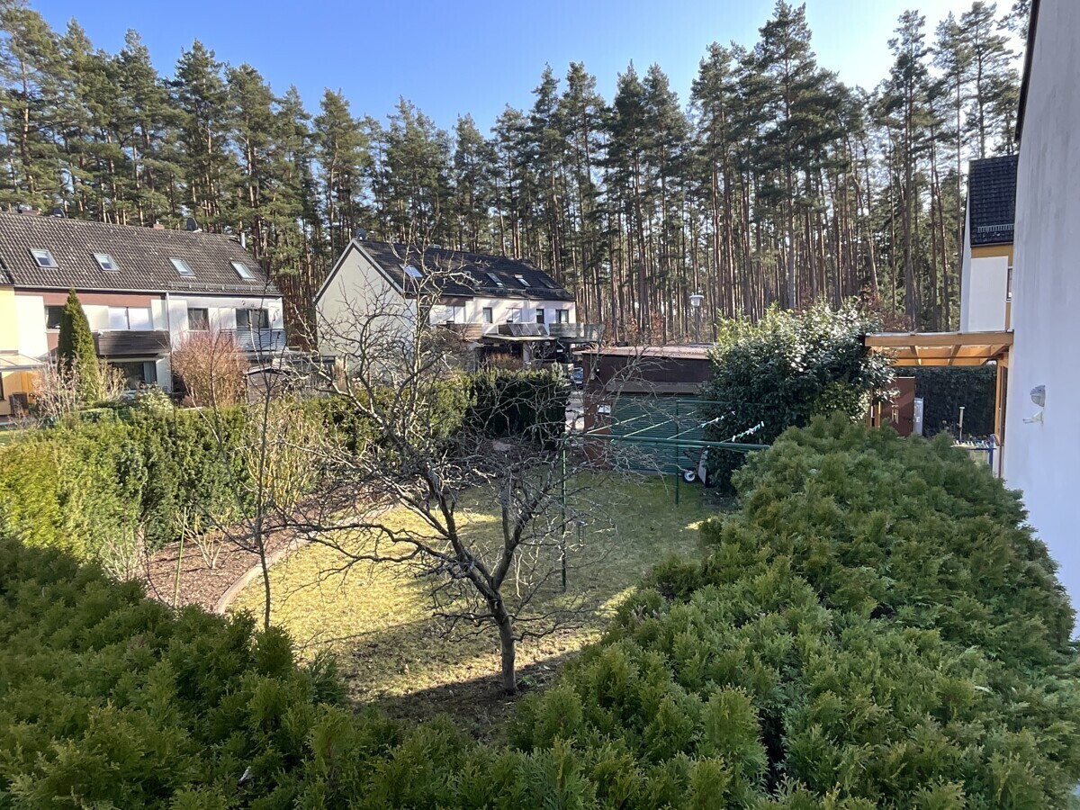 Blick auf den seitlichen Gartenbereich